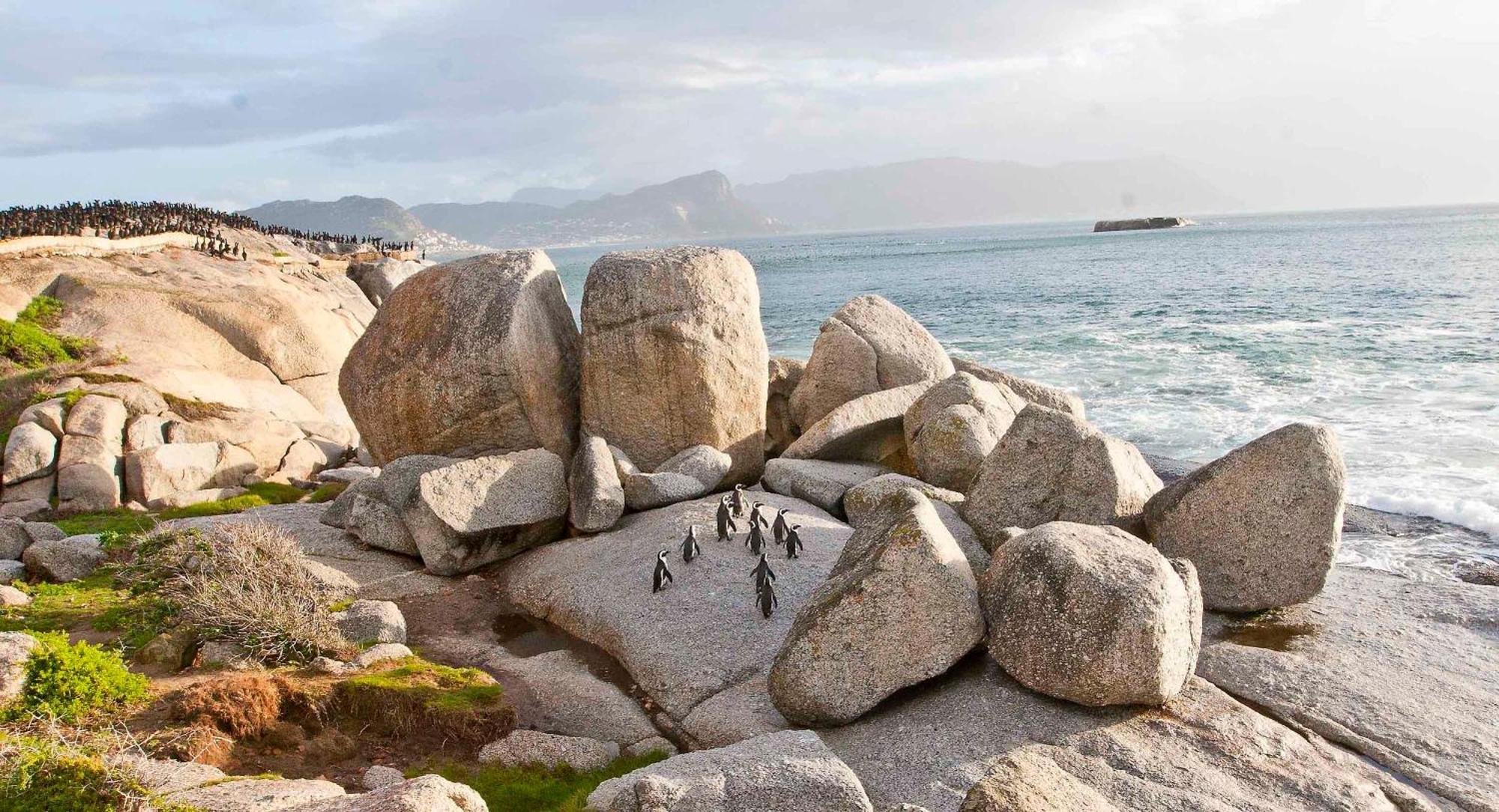 Avian Leisure Appartement Simonʼs Town Buitenkant foto